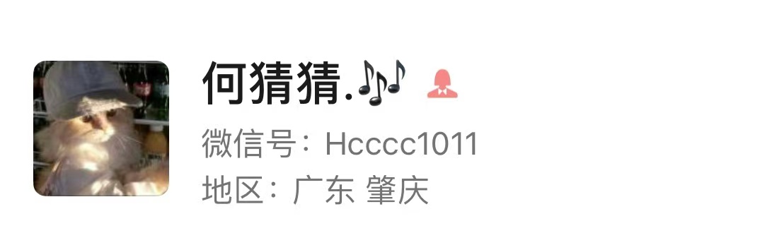 照片